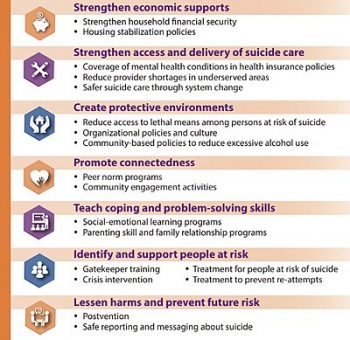 Focused Assessment Mental Health And Status Health Assessment Guide