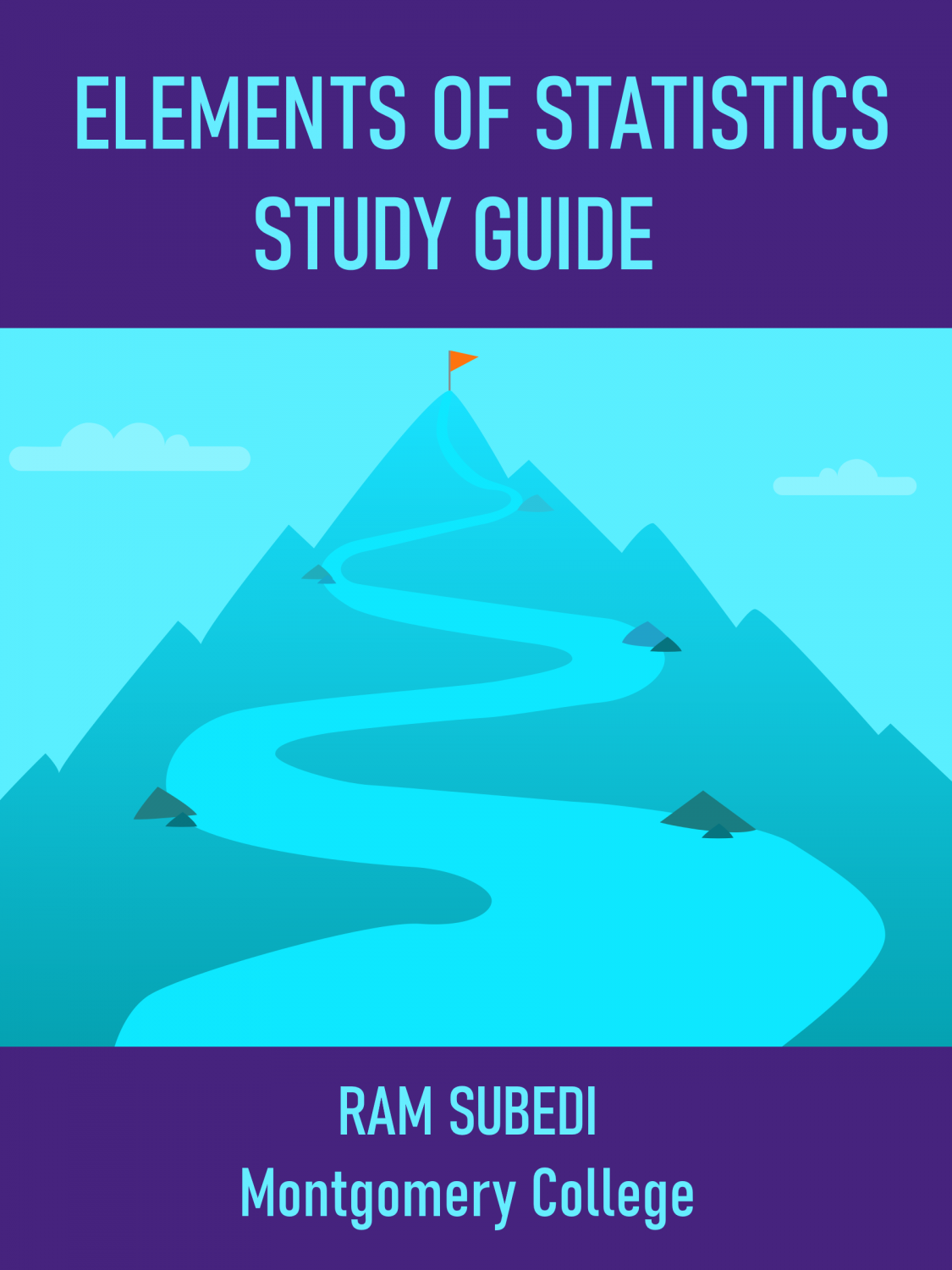 Cover image for Statistics Study Guide