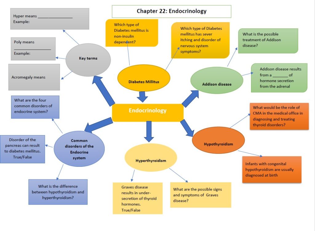 This image is about a concept map titled “Chapter 22: Endocrinology” visually organizes key topics related to the endocrine system.