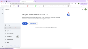 Steps to enhance Gemini privacy.