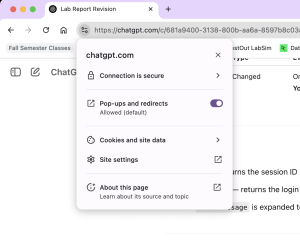 An example of a secure website. The "options" section of the web browser indicates that the website is secure.