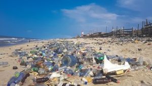 Beach littered with trash