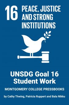 UN SDG Goal 16: Student Work book cover