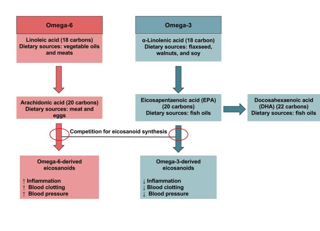 A flow chart of Omega-6 and Omega-3 essential fatty acids. Omega-6: Linoleic acid (18 carbons) - dietary sources: vegetable oils and meats; Arachidonic acid (23 carbonds) - dietary sources: meat and eggs. Omega-6-derived elicosanoids, increased inflammation, blood clotting, blood pressure. Omega-3: alpha-linolenic acid (18 carbon). Dietary sources: flaxseed, walnuts, and soy. Eicosapentaenoic acid (EPA)(20 carbons) Dietary sources: fish oils. Docosahexaenoic acid (DHA)(22 carbons) Dietary sources: fish oils. Omega-3-derived eicosanoids. Reduced inflammation, blood clotting, blood pressure.