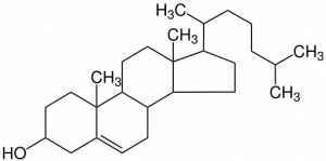 The Structure of Cholesterol