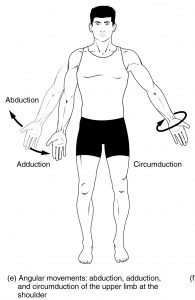 Body movements