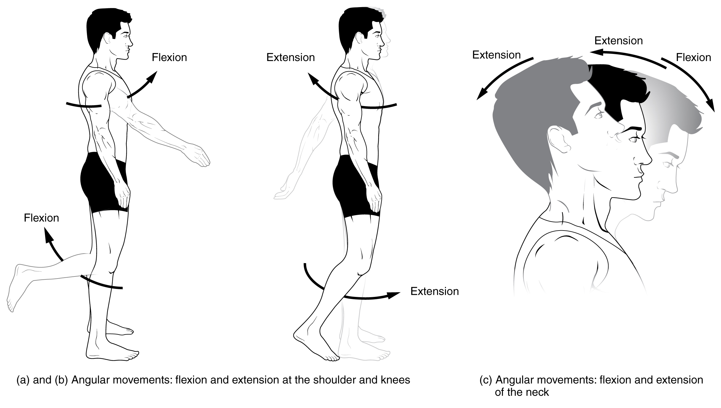 Body Movements