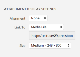 Customize how an image displays